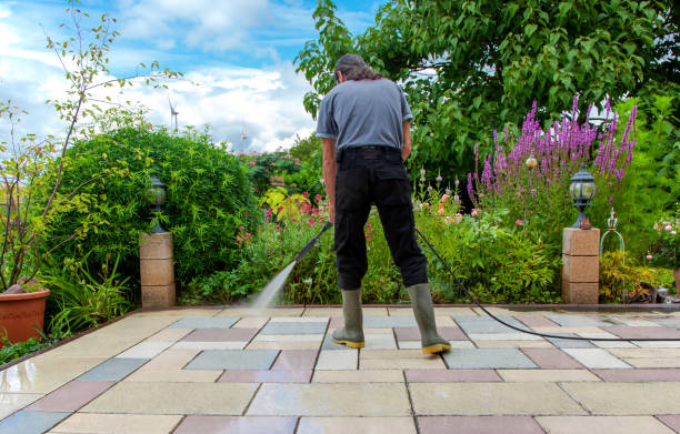 Animal Enclosure Cleaning in Upland, PA